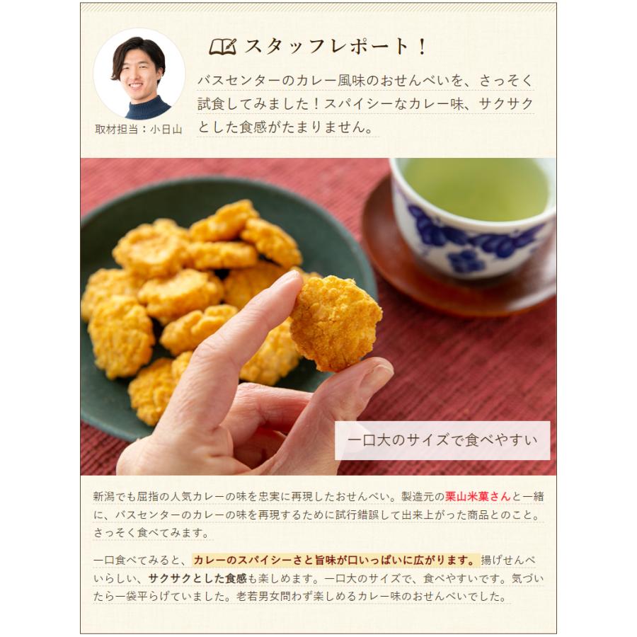 バスセンターのカレーせんべい 4パック入り/新潟交通商事/後払い バスセンターのカレーせんべい 4パック入り/新潟交通商事/後払い
