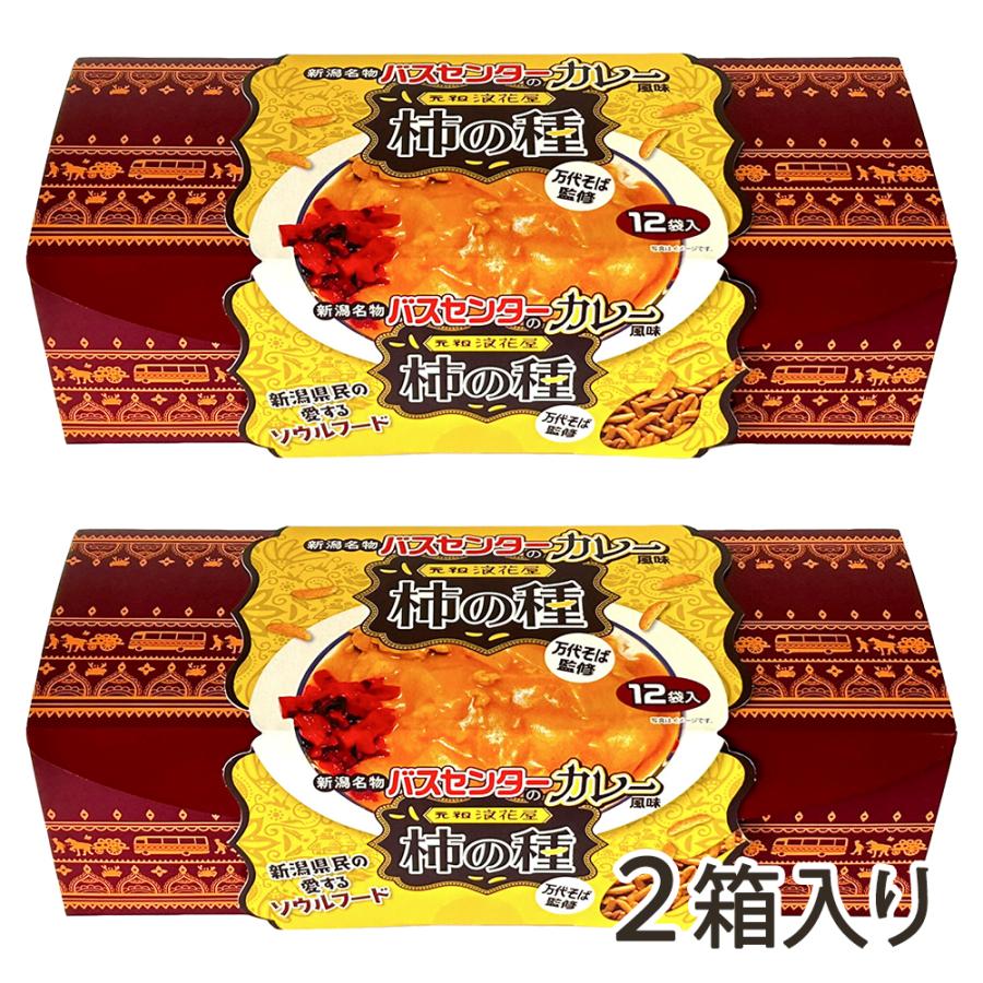 バスセンターのカレー風味柿の種 2箱入り/新潟交通商事/後払い決済不可