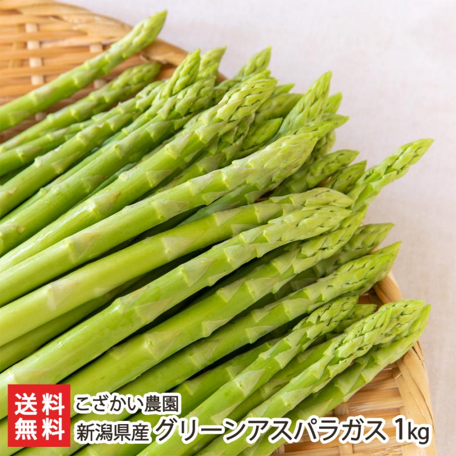 新潟県産 グリーンアスパラガス 1kg/こざかい農園/後払い決済不可/送料