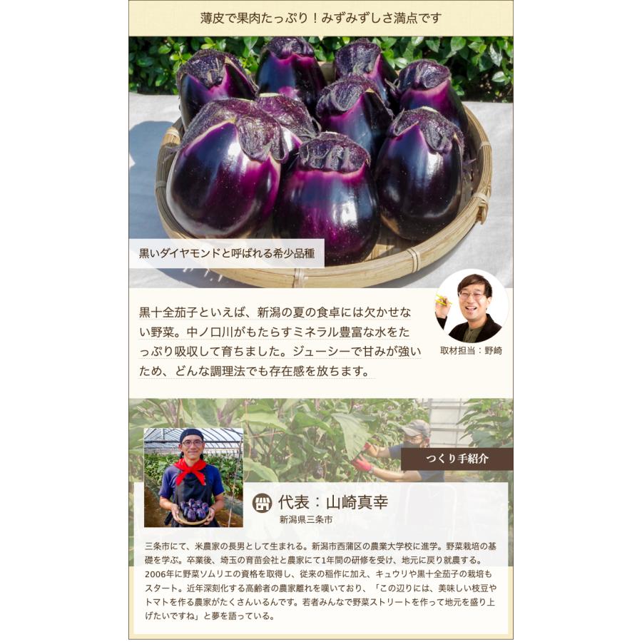やまなす品 新潟直送計画】新潟県産なす 黒十全茄子 – やまちゃん農園
