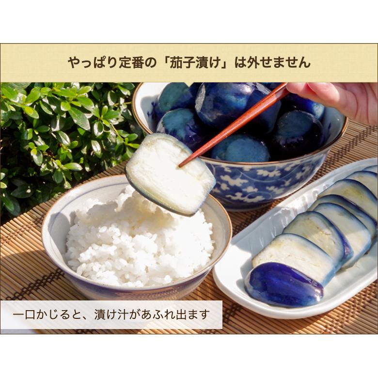 落ちてる茄子 Nasu] June is super important! Here's what you need to do