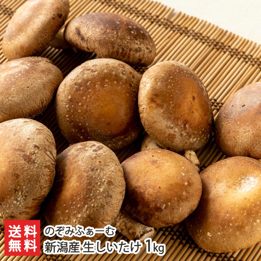 新潟産 生しいたけ 1kg/のぞみふぁーむ/後払い決済不可/送料無料