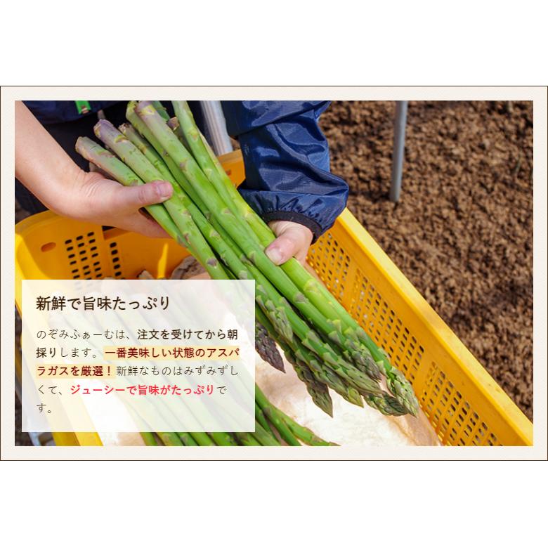 新発田産グリーンアスパラガス 1.5kg/後払い決済不可/のぞみふぁーむ