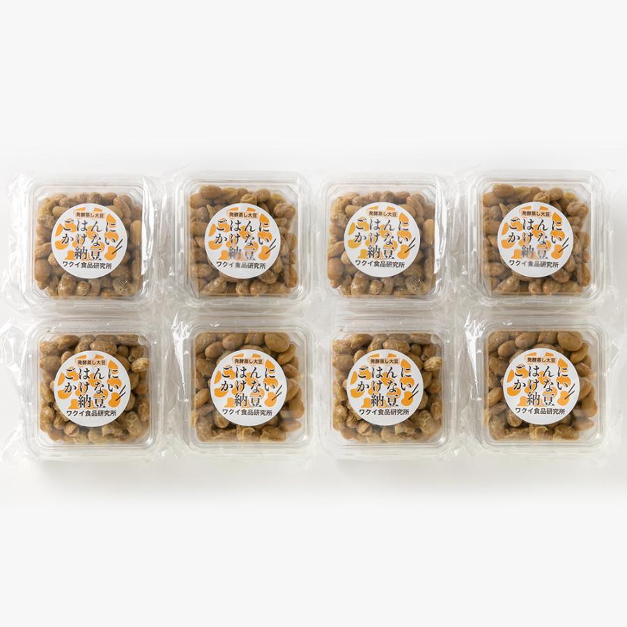 ごはんにかけない納豆 8パック入り/ワクイ食品研究所/送料無料 : 新潟