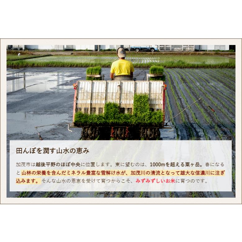 【令和5年度米】新潟県産コシヒカリ（特別栽培米）精米5kg/加茂有機米生産組合/送料無料｜niigata-shop｜05
