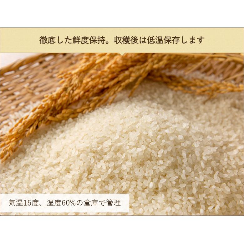 【令和5年度米】新潟県産コシヒカリ（特別栽培米）精米5kg/加茂有機米生産組合/送料無料｜niigata-shop｜06