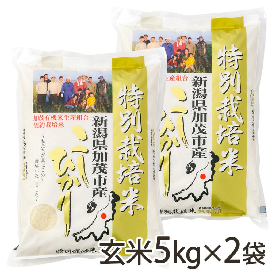 コシヒカリ 【令和5年度米】新潟県産コシヒカリ（特別栽培米）玄米10kg