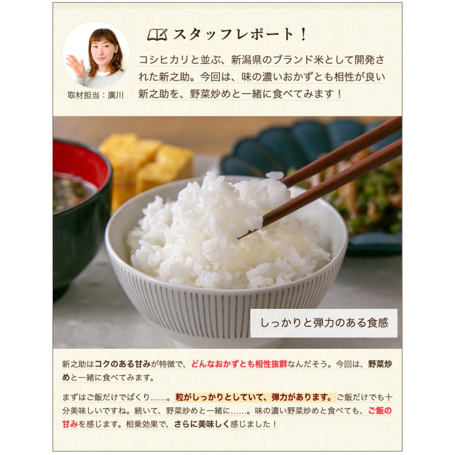 【令和5年度米】岩船産 新之助 精米5kg/岩船農産/送料無料 父の日 お中元｜niigata-shop｜07