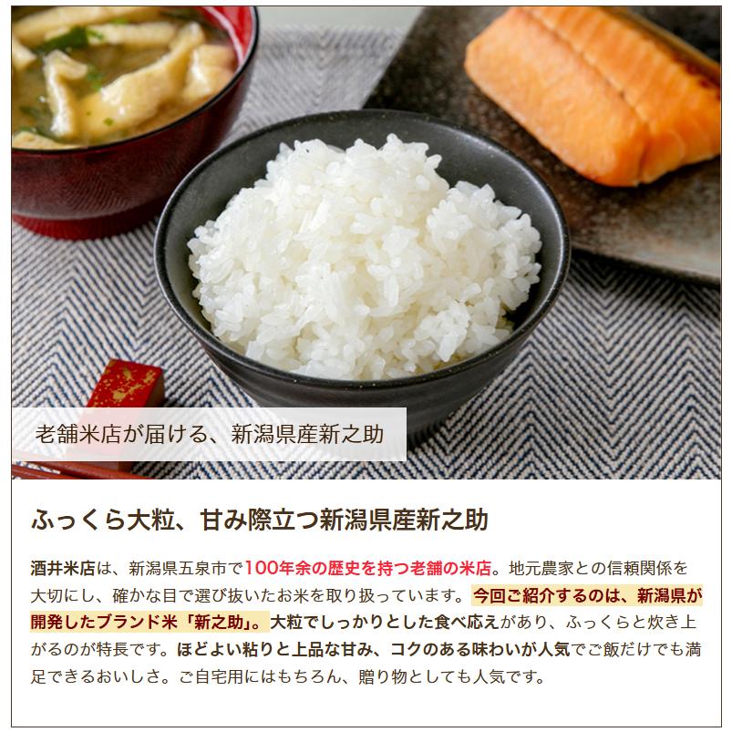 新潟県産 新之助 精米5kg（5kg×1袋）/酒井米店/送料無料 : 新潟直送
