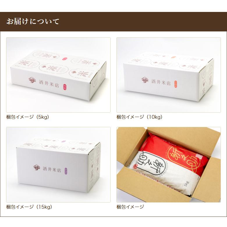 新潟県産 新之助 精米10kg（5kg×2袋）/酒井米店/送料無料 : 新潟直送 