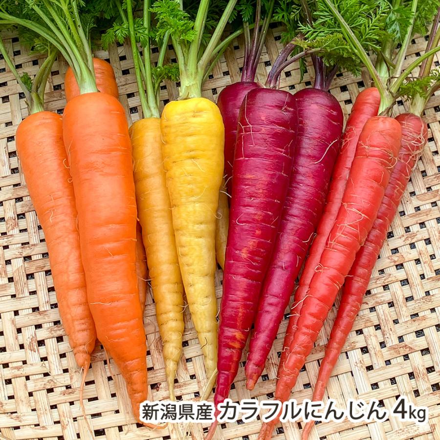 新潟県産 カラフルにんじん 4kg（オレンジ・赤・黄・紫にんじんの中