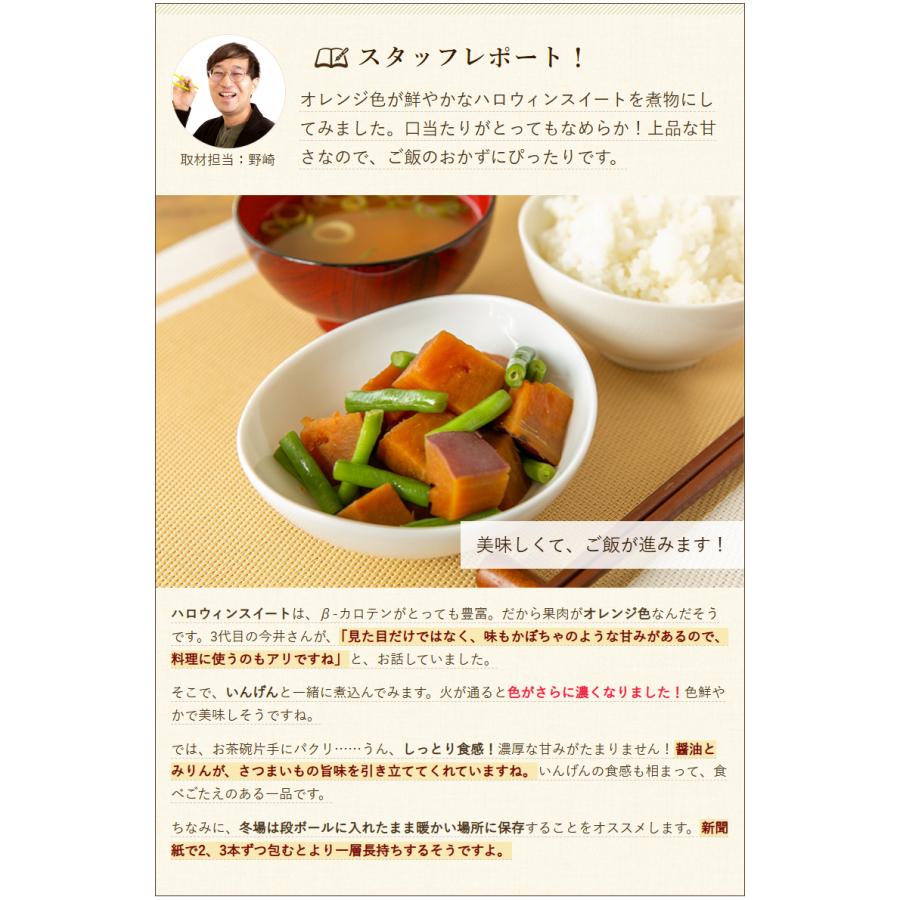 家庭用】新潟県産さつまいも ハロウィンスイート 4.5kg/Yagorou/送料