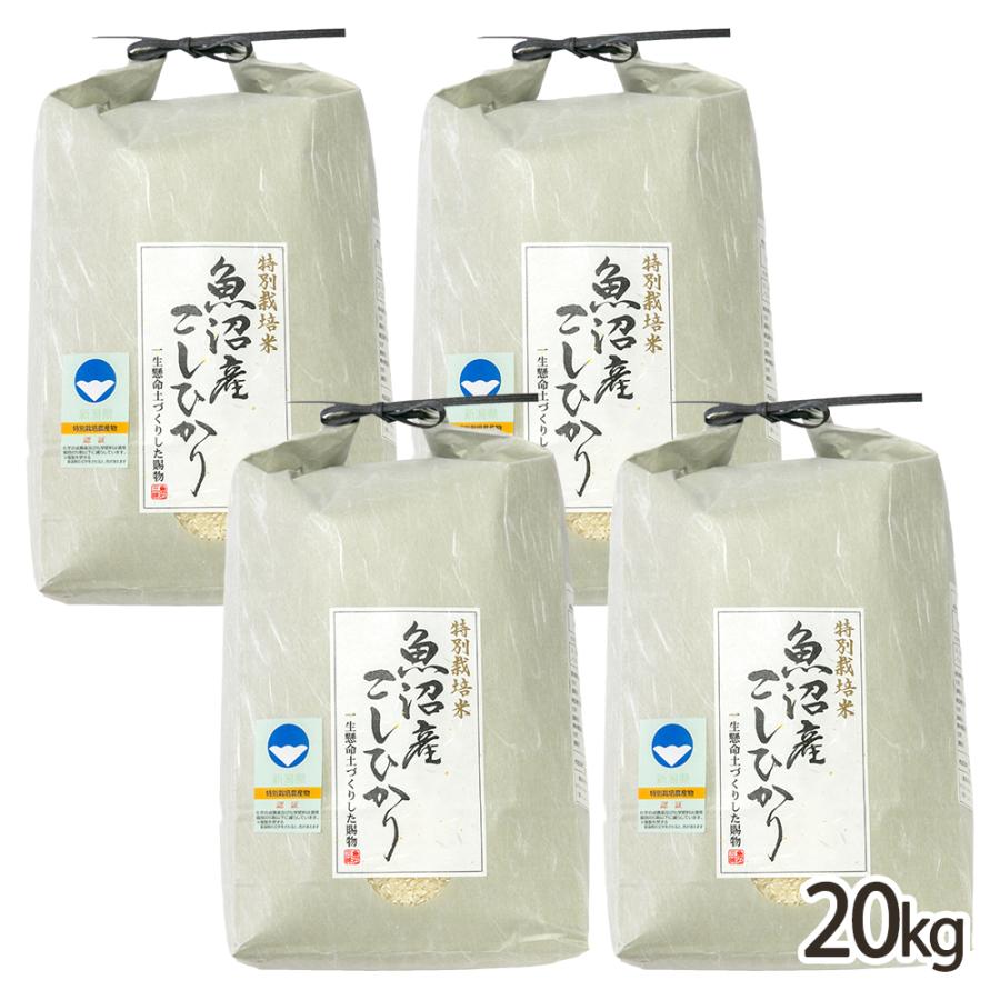 令和4年度産 　新潟こしひかり　20kg(5kg×4袋)　特別栽培米 令和4年度産 新潟こしひかり 20kg(5kg×4袋) 特別栽培米 【公式通販】