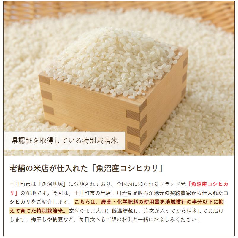 コシヒカリ 令和6年度産米 特別栽培米(減農薬・減化学肥料 コシヒカリ 令和6年度産米 特別栽培米(減農薬・減化学肥料