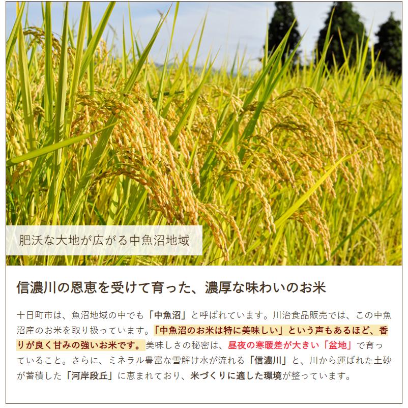 コシヒカリ 令和6年度産米 魚沼産コシヒカリ(有機JAS認証米 コシヒカリ 令和6年度産米 魚沼産コシヒカリ(有機JAS認証米