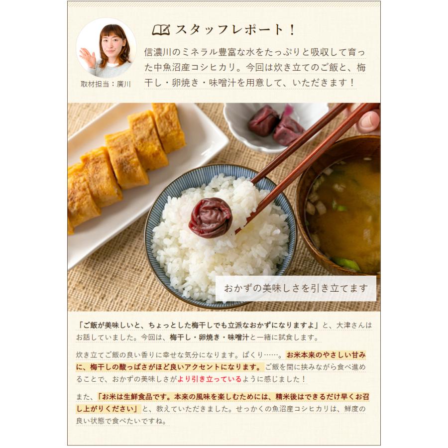 コシヒカリ 令和6年度産米 魚沼産コシヒカリ(有機JAS認証米 コシヒカリ 令和6年度産米 魚沼産コシヒカリ(有機JAS認証米