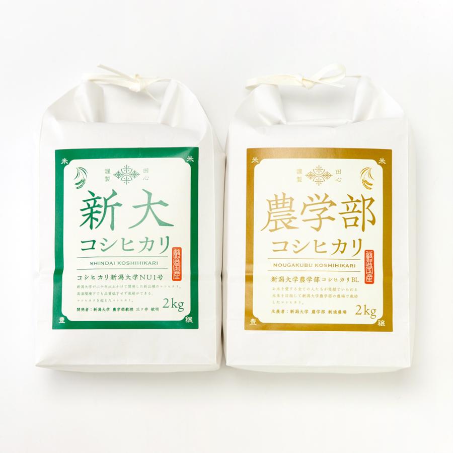 令和6年度産新潟コシヒカリ コシヒカリ 令和6年度産米 新大農学部コシヒカリセット（新大