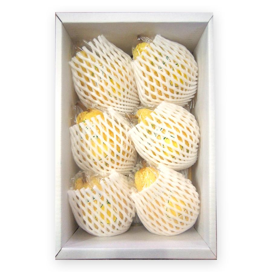 【贈答用】ル・レクチェ 2kg/のざきファーム/送料無料