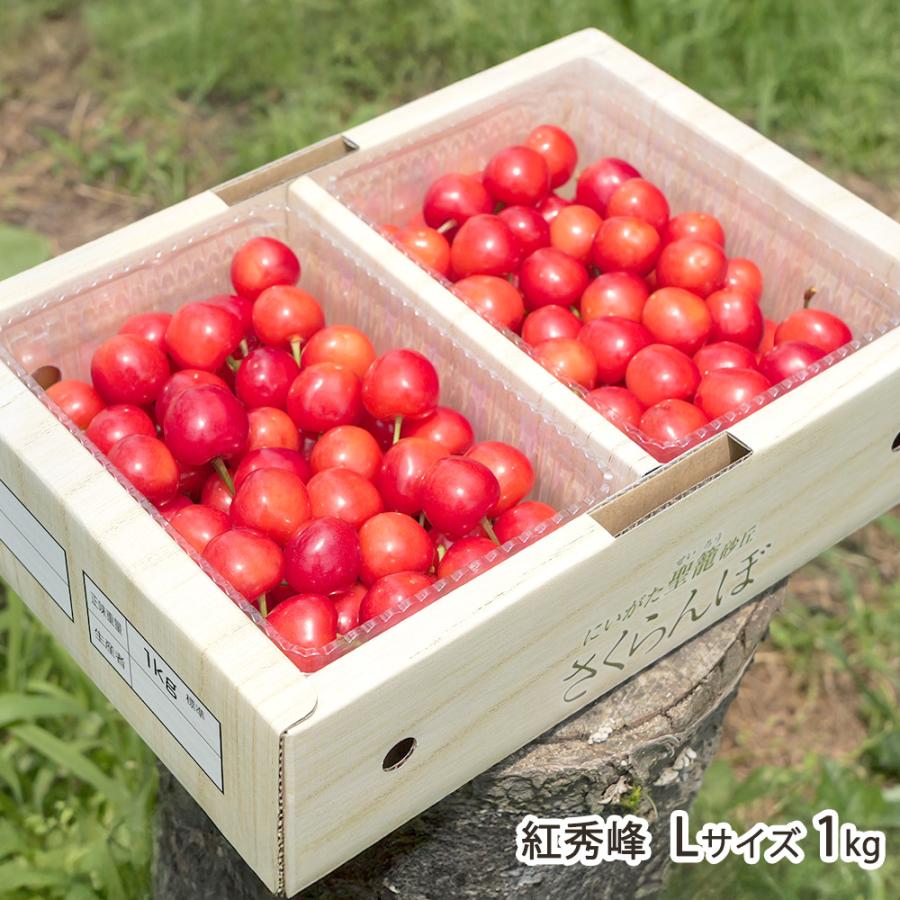 贈答用】新潟産さくらんぼ 紅秀峰 Lサイズ 1kg/後払い決済不可/駒澤