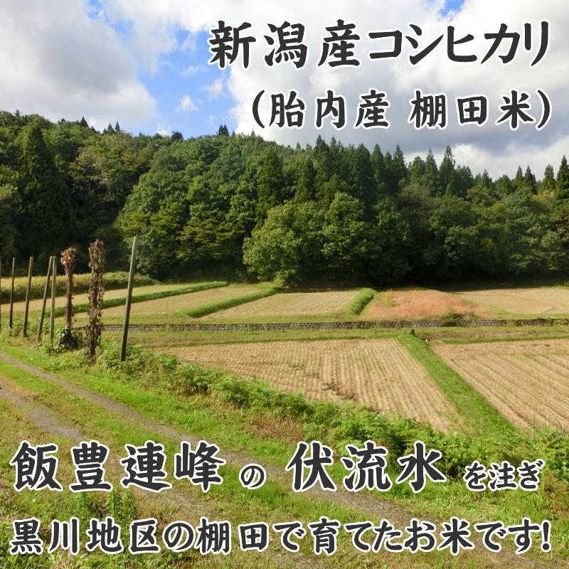 激安通販販売 美味しいお米できました TAKEの棚田米厳選大粒20キロ 新米 美味しいお米できました!!TAKEの棚田米厳選令和5年 新米