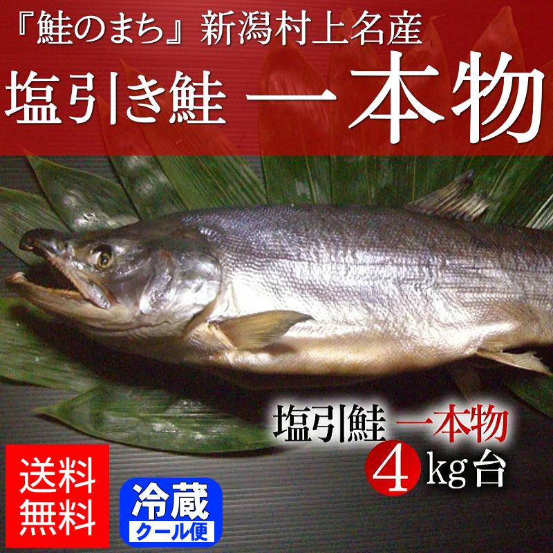 新潟 村上 塩引き鮭（塩引鮭）一本物 4kg台