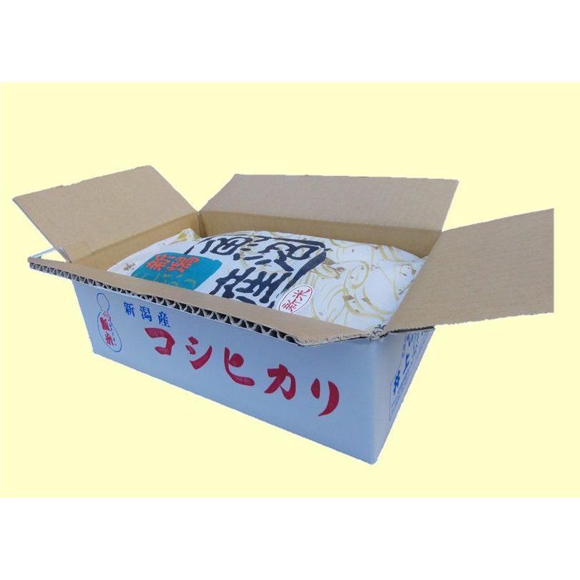 コシヒカリ お米 魚沼産コシヒカリ5kg×2袋 精米 7年産 十日町 昭和