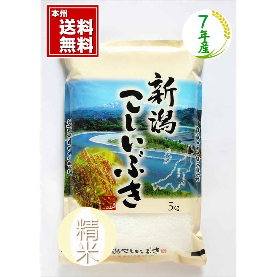 こしいぶき　5キロ×3袋 楽天市場】【令和5年度米】新潟産 こしいぶき 精米5kg 新潟ケンベイ