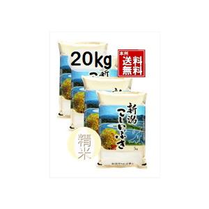 こしいぶき お米 新潟産こしいぶき 精白米5kg×4袋 本州送料無料