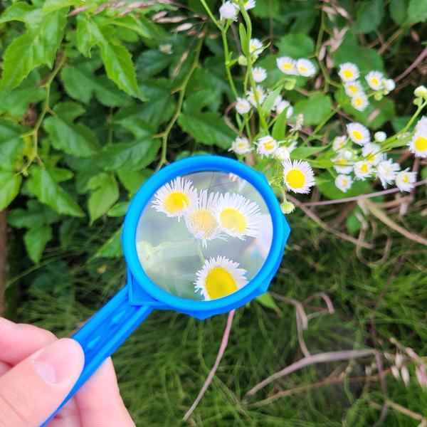 新潟精機 虫めがね No.2110 倍率3.5倍 レンズ径45mm ガラスレンズ