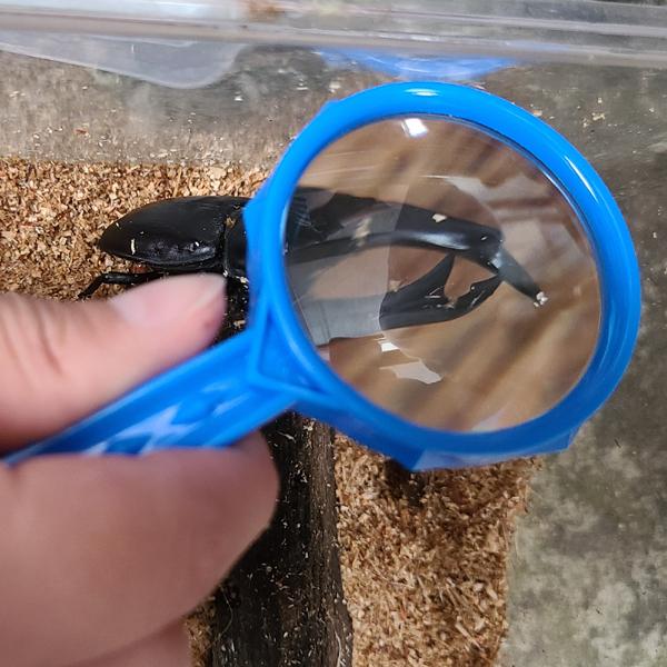 新潟精機 虫めがね No.2110 倍率3.5倍 レンズ径45mm ガラスレンズ