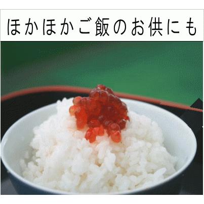 筋子(秋鮭の子)約180g : 本造り鮭の新潟たけうち - 通販 - Yahoo