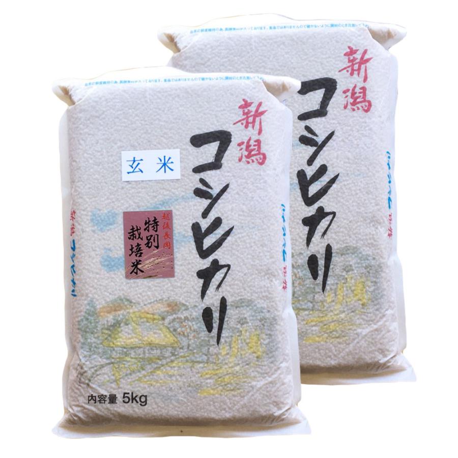 再×14入荷 令和4年度産 新潟こしひかり 10kg(5kg×2袋) 特別栽培米 通販
