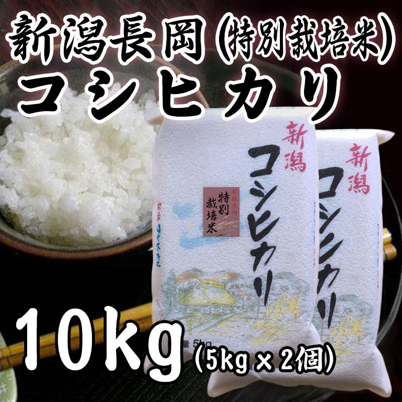 コシヒカリ お米 新潟県産 長岡地区限定 特別栽培米 白米 10kg コシヒカリ お米 新潟県産 長岡地区限定 特別栽培米 白米 10kg