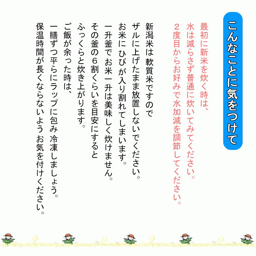 お米 新潟県産 コシヒカリ 白米 5kg 令和5年産