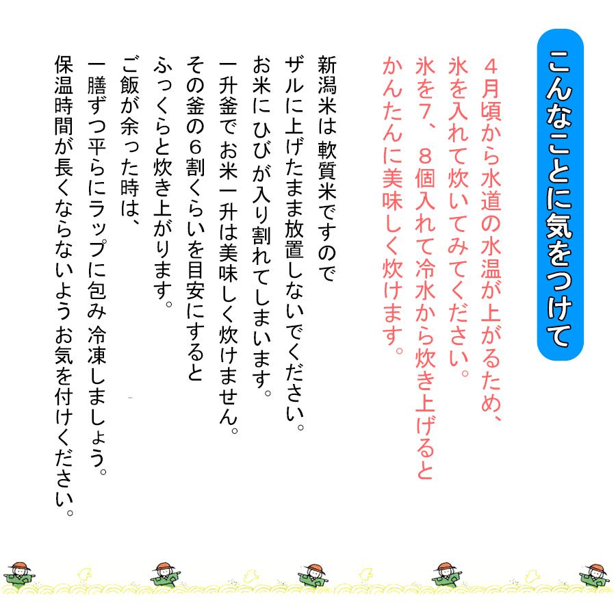 コシヒカリ お米 新潟県産 白米 10kg (5kg×2個) 令和6年産 コシヒカリ お米 新潟県産 白米 10kg (5kg×2個) 令和6年産