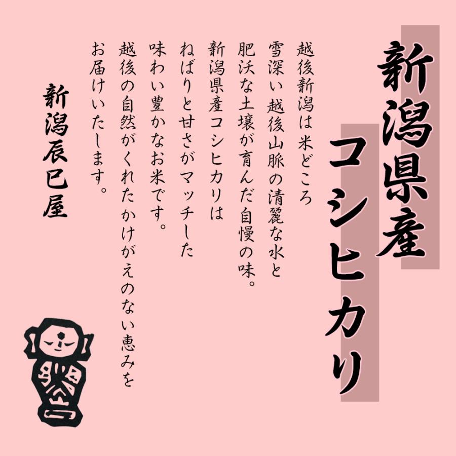 お米 新潟県産 コシヒカリ 白米 10kg (5kg×2個) 令和5年産 【本州送料無料】｜niigatatatumiya｜05