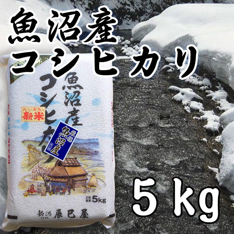 大潟村ヤミ米騒動「全記録」―村を二分した食管攻防戦の本質 513aXTqQ3xL._AC_SY200_QL15_.jpg