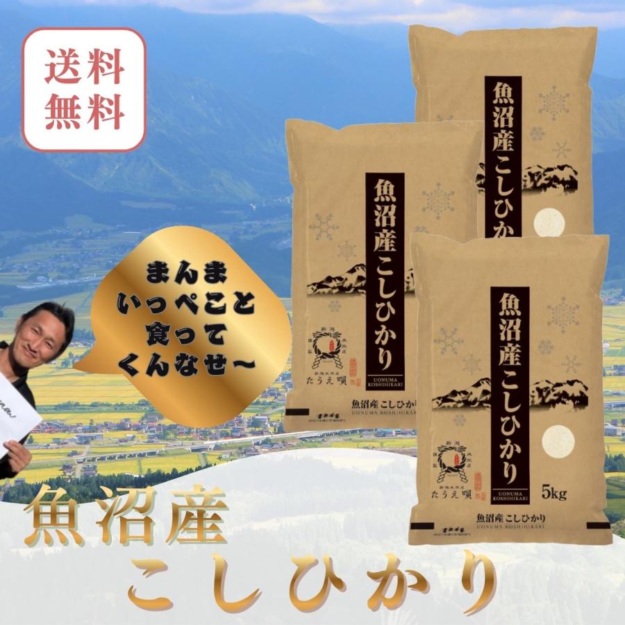 令和7年度 コシヒカリ15kg 【公式ショッピングサイト】