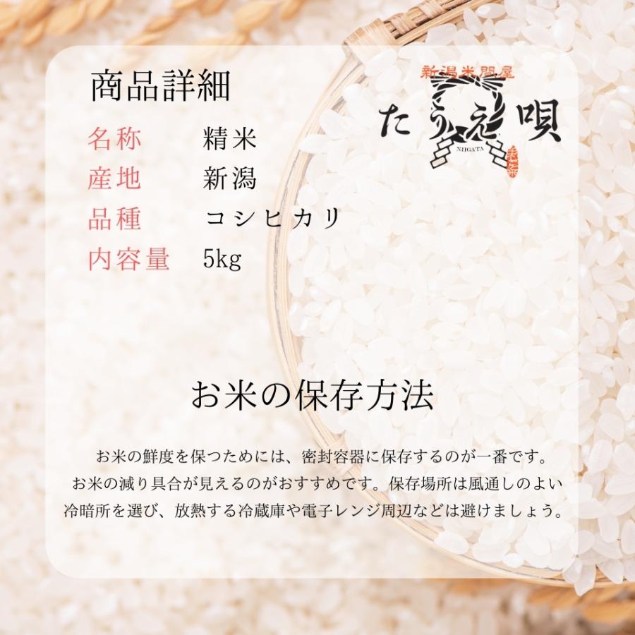 コシヒカリ 米 令和7年 こしひかり 新潟産コシヒカリ 5kg 送料無料 米