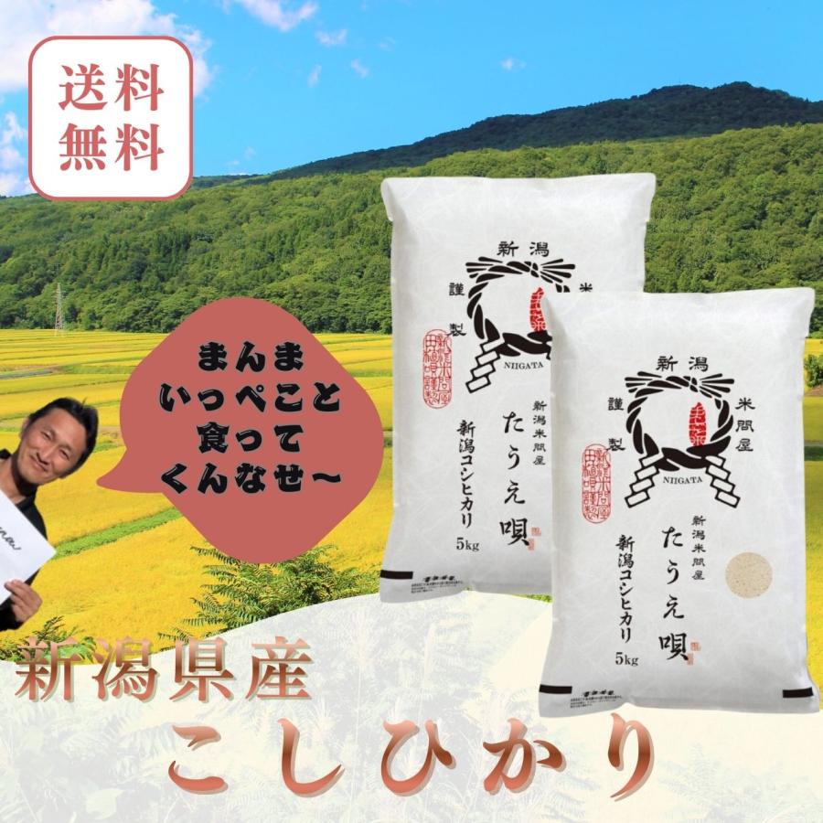 コシヒカリ 米 令和7年 こしひかり お米 10kg 送料無料 新潟産