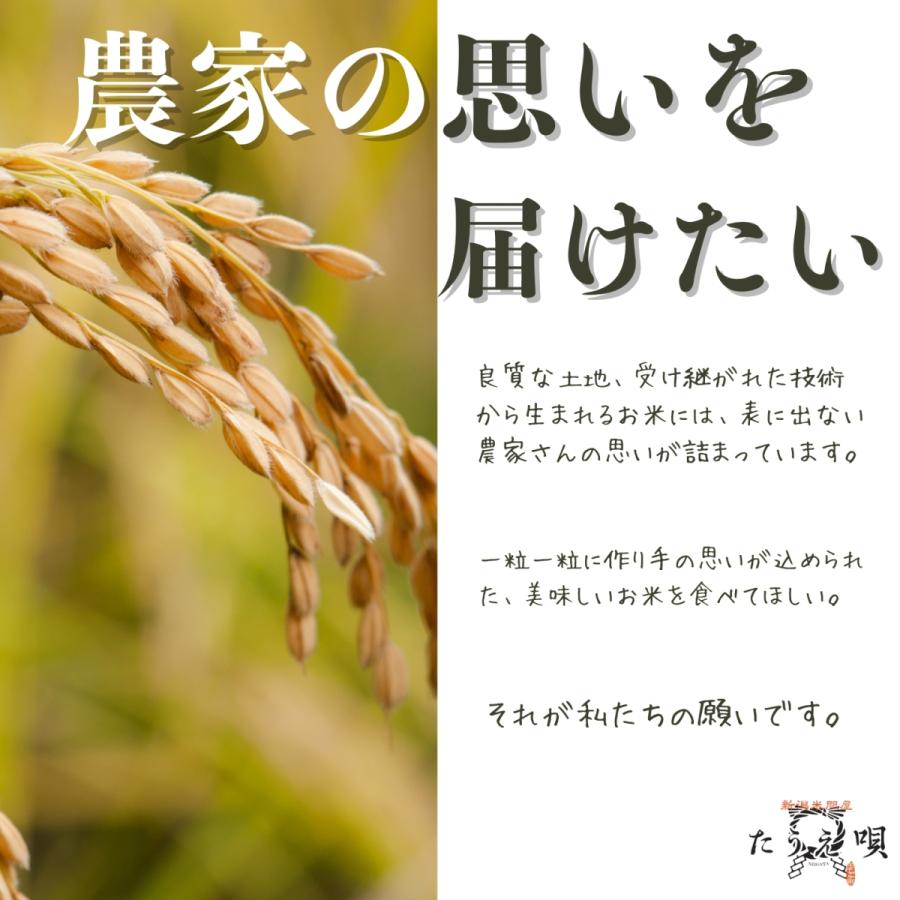 令和5年　こしひかり　お米　10kg　送料無料　新潟産こしひかり　10kg（5kg×2）　米　白米　お祝い　ギフト｜niigatataueuta｜08