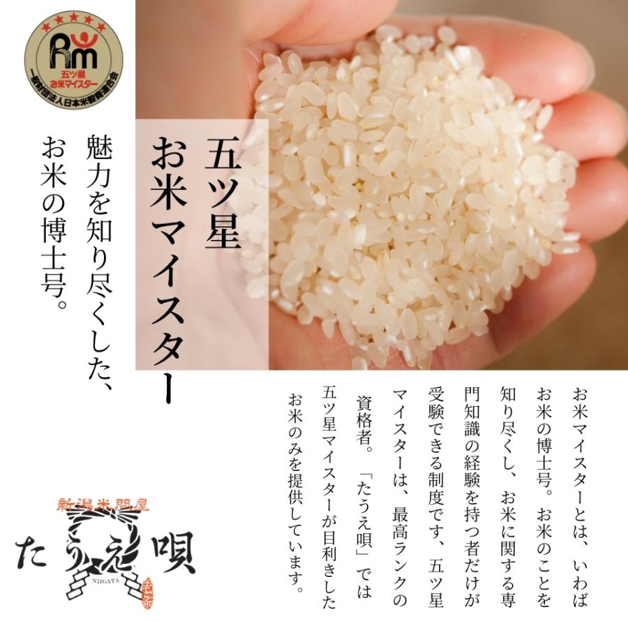 令和6年産 米 送料無料 新潟県産 虹の煌めき 大粒 10kg (5kg×2 令和6年産 米 送料無料 新潟県産 虹の煌めき 大粒 10kg (5kg×2