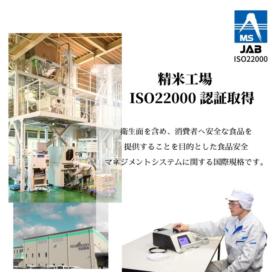 令和6年産 米 送料無料 新潟県産 虹の煌めき 大粒 10kg (5kg×2 令和6年産 米 送料無料 新潟県産 虹の煌めき 大粒 10kg (5kg×2