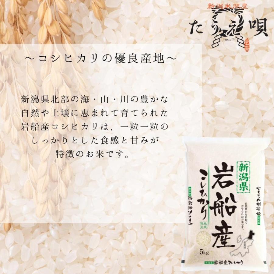 コシヒカリ 米 令和7年 米 10kg 送料無料 岩船産こしひかり 10kg（5kg