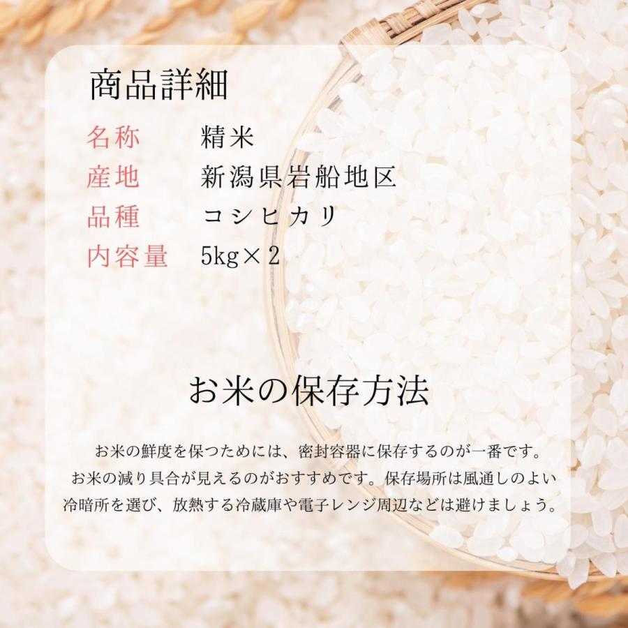 コシヒカリ 米 令和7年 米 10kg 送料無料 岩船産こしひかり 10kg（5kg