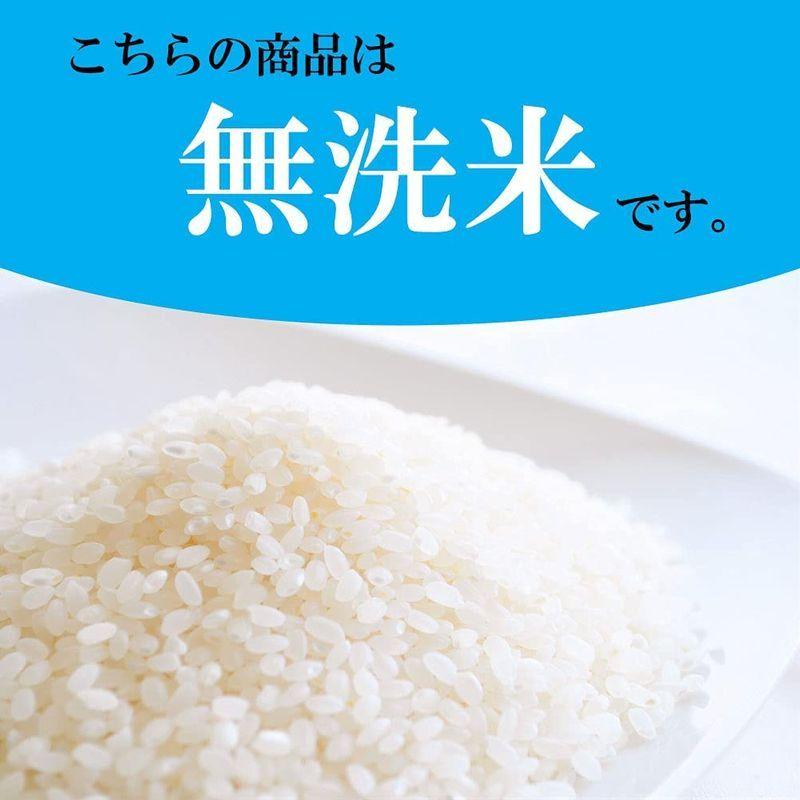新潟県産コシヒカリ 無洗米 5kg 爪切り ネイルケア用品 Www Luzearteiluminacao Com Br