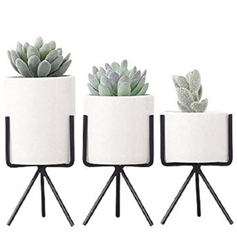 Noa S 8cm 植木鉢 おしゃれ 多肉植物鉢 プランター鉢 サボテン鉢 プランター おしゃれ インテリア 陶器鉢 プランタースタンド 3 Niinapharm 通販 Yahoo ショッピング