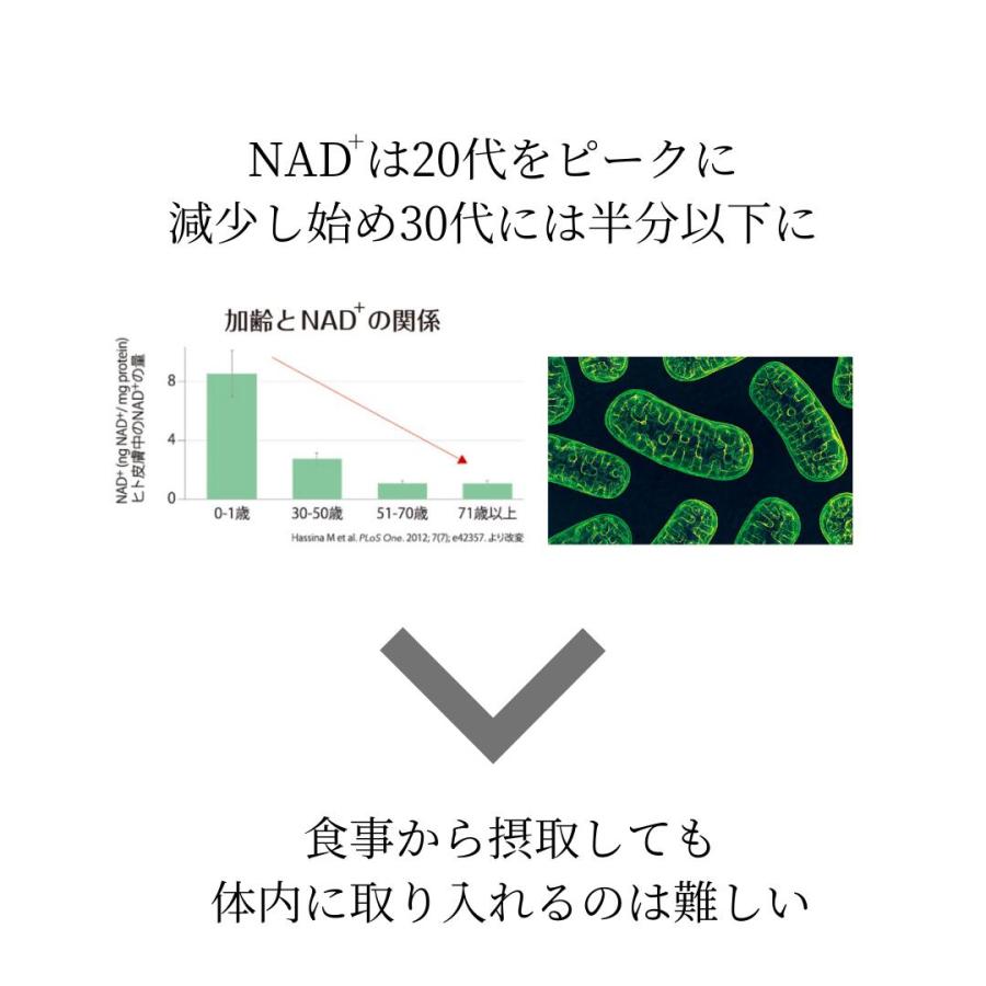 【お得な6本セット】デアザフラビン plus 5-ALA W配合 日本製 純度99.9％以上 1粒NMN1200mg相当 高含有量 次世代型 NMN サーチュイン サプリメント｜nijiba｜04