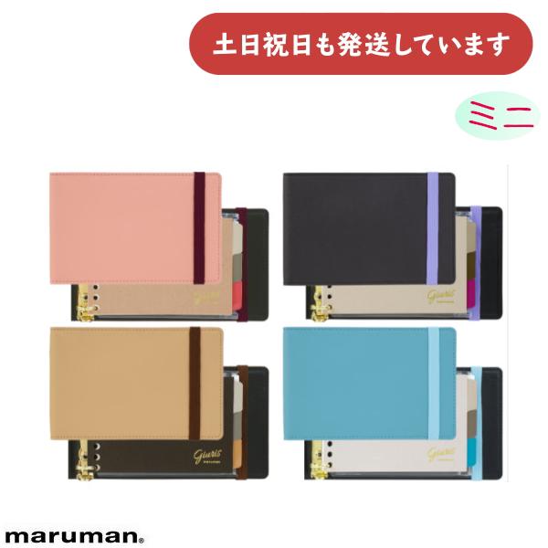 maruman（マルマン） ジリウス ミニバインダー 3穴 100枚収容 文房具