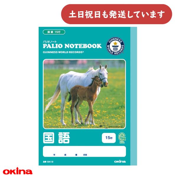 オキナ 学習帳 ga12 パリオノート 国語 セミb5判 学用3号   縦罫